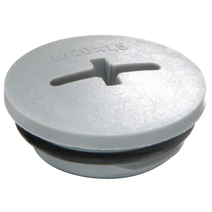 Пластиковий стопорний гвинт з ущільнувальним кільцем EVSG-ORD 63 RAL 7001 розмір M63x1,5